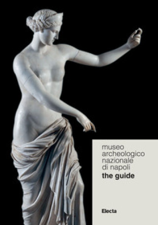 Kniha Museo Archeologico Nazionale di Napoli. The guide Dario Barbera