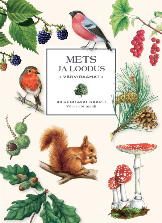 Kniha Mets ja loodus. värviraamat. 40 rebitavat kaarti. värvi või maali 