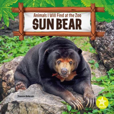Book Sun Bear 