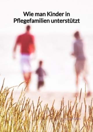 Книга Wie man Kinder in Pflegefamilien unterstützt Alina Hartmann
