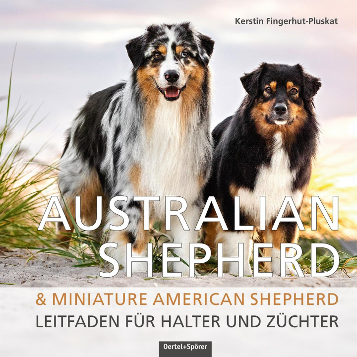 Carte Australian Shepherd & Miniature American Shepherd 