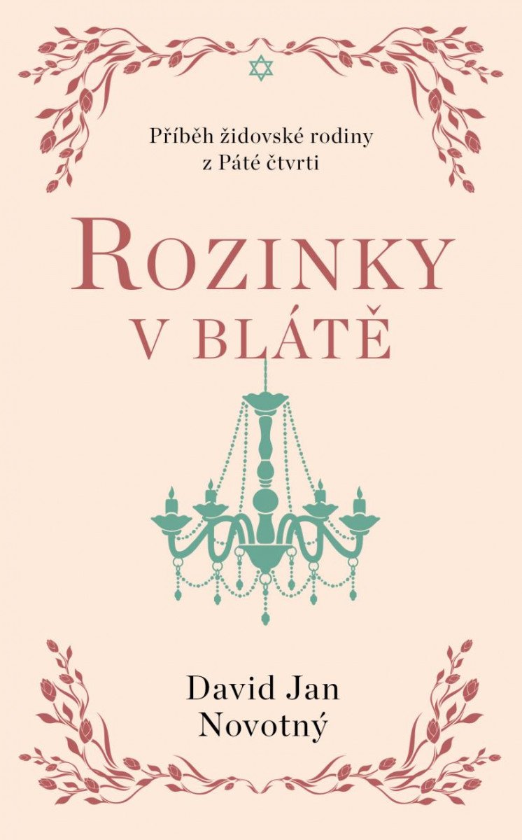 Βιβλίο Rozinky v blátě - Dva tucty střepů David Jan Novotný
