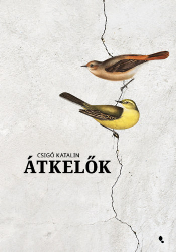 Knjiga Átkelők Csigó Katalin
