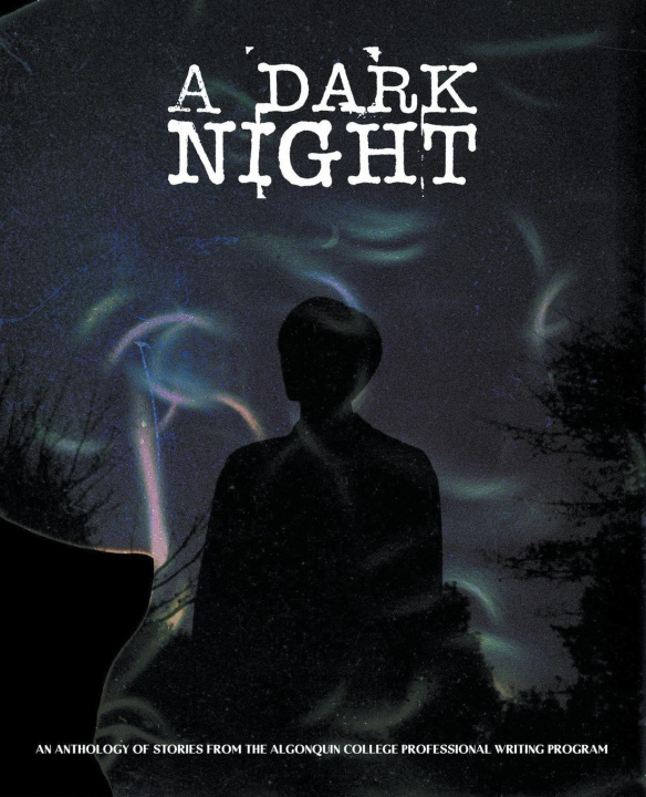 Knjiga A Dark Night Algonquin College's Professi... Program