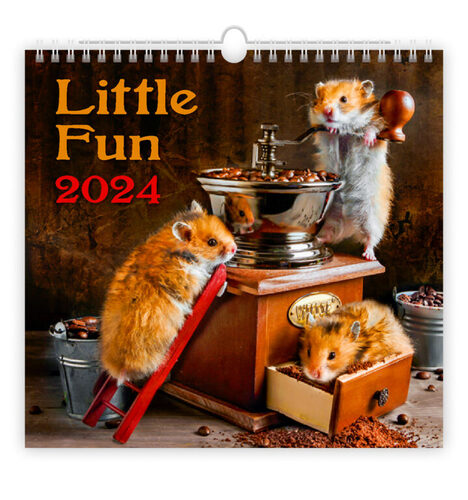 Calendar / Agendă Kalendář Little Fun 