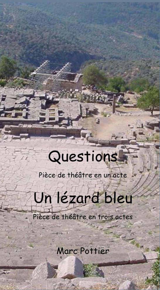 Kniha Questions et Un lézard bleu Pottier