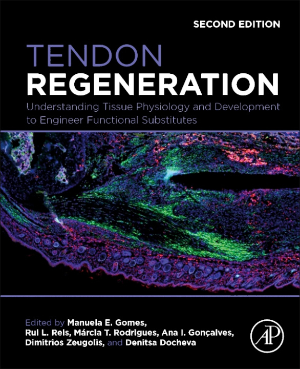 Kniha Tendon Regeneration Manuela Gomes