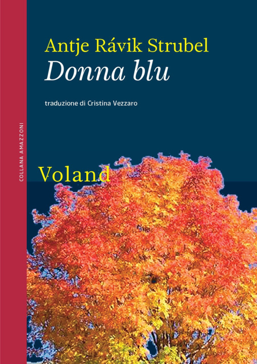 Книга Donna blu Antje Rávic Strubel