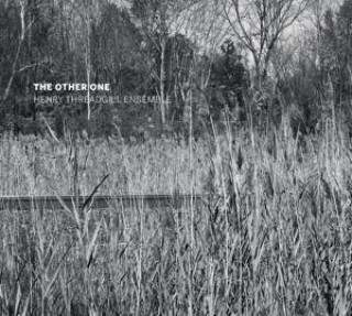 Audio The Other One Henry Threadgill