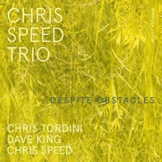 Zvok Despite Obstacles Chris Speed Trio