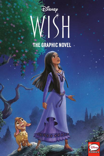 Kniha Disney Wish: The Graphic Novel 