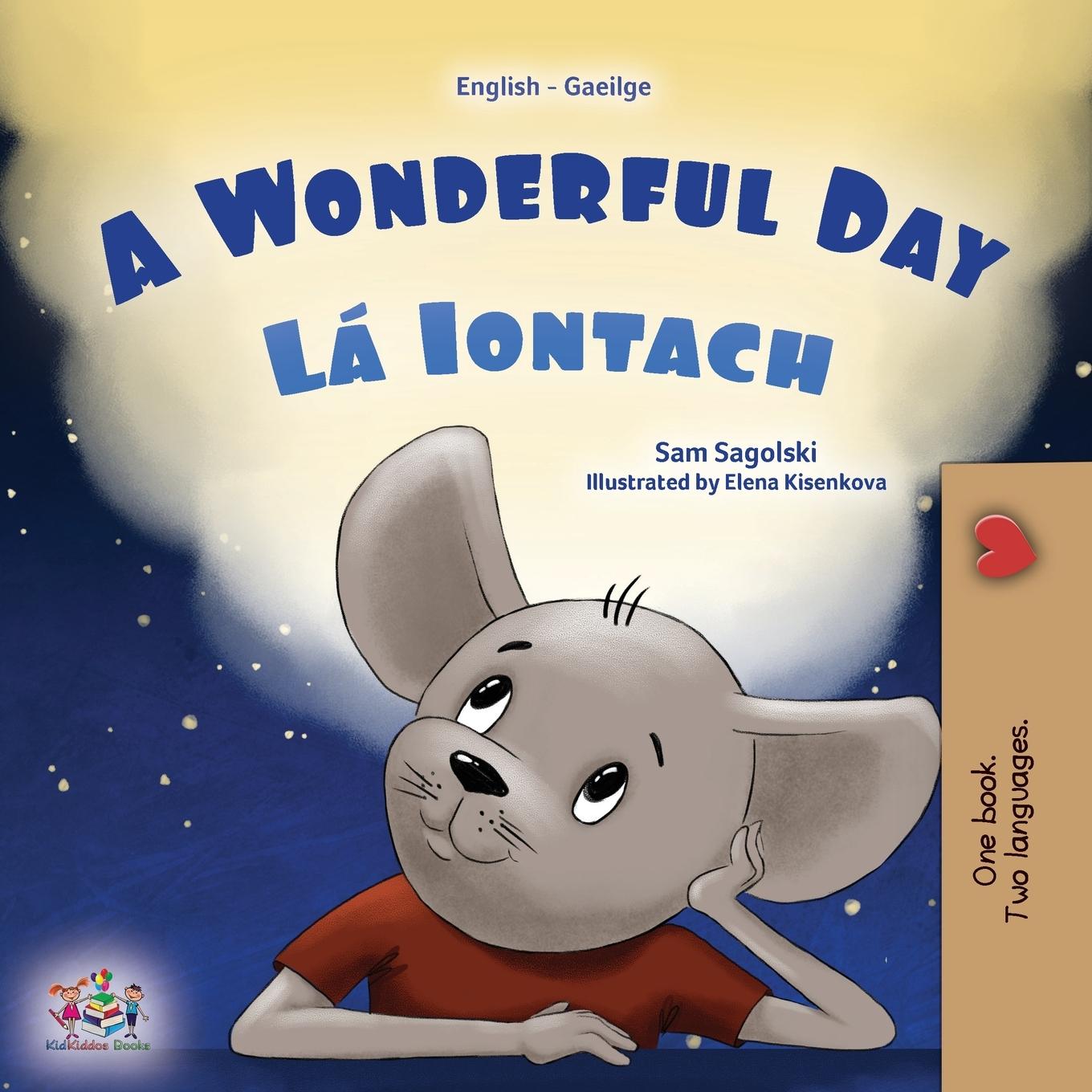 Livro A Wonderful Day (English Irish Bilingual Children's Book) Kidkiddos Books