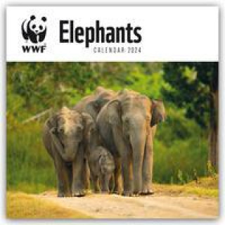 Naptár/Határidőnapló WWF Elephants - Elefanten 2024 