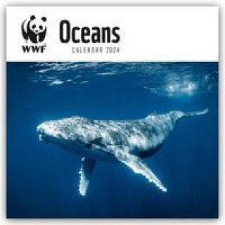 Calendar / Agendă WWF Oceans - Meere - Ozeane - Weltmeere 2024 