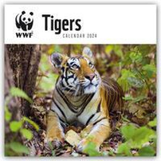 Naptár/Határidőnapló WWF Tigers - Tiger 2024 