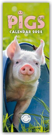 Calendar / Agendă Pigs - Ferkel - Schweinchen 2024 - Slimline-Kalender 
