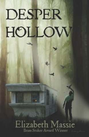 Boek Desper Hollow Cortney Skinner