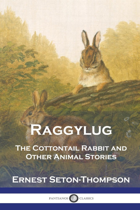 Buch Raggylug Ernest Seton-Thompson