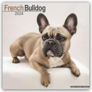 Calendar / Agendă French Bulldog - Französische Bulldoggen 2024 - 16-Monatskalender 