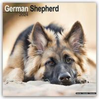 Kalendár/Diár German Shepherd - Deutsche Schäferhunde 2024 - 16-Monatskalender 