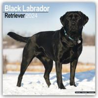 Kalendarz/Pamiętnik Black Labrador Retriever - Schwarzer Labrador 2024 - 16-Monatskalender 