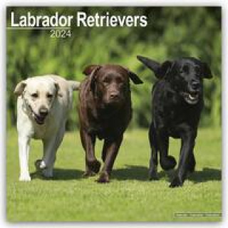 Kalendarz/Pamiętnik Labrador Retriever 2024 - 16-Monatskalender 