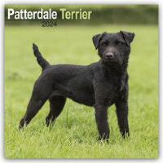 Kalendář/Diář Patterdale Terrier 2024 - 16-Monatskalender 