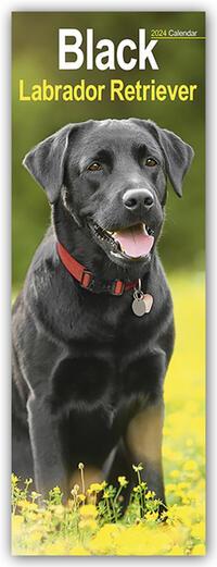 Calendar / Agendă Black Labrador Retriever - Schwarze Labrador Retriever 2024 