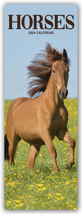 Naptár/Határidőnapló Horses - Pferde 2024 