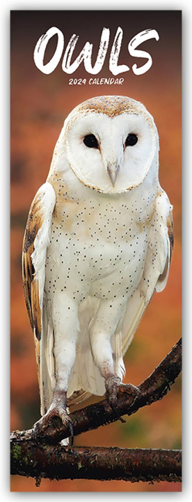 Calendar/Diary Owls - Eulen 2024 