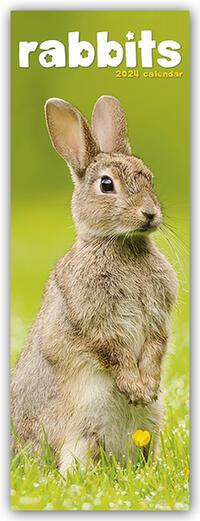 Календар/тефтер Rabbits - Kaninchen 2024 