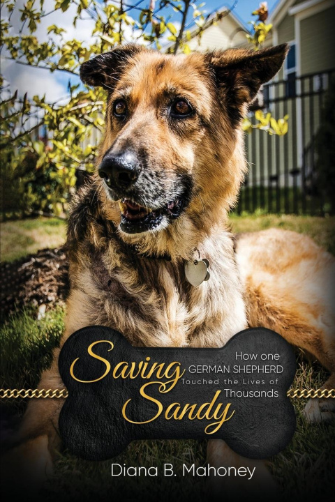 Knjiga Saving Sandy Diana B. Mahoney