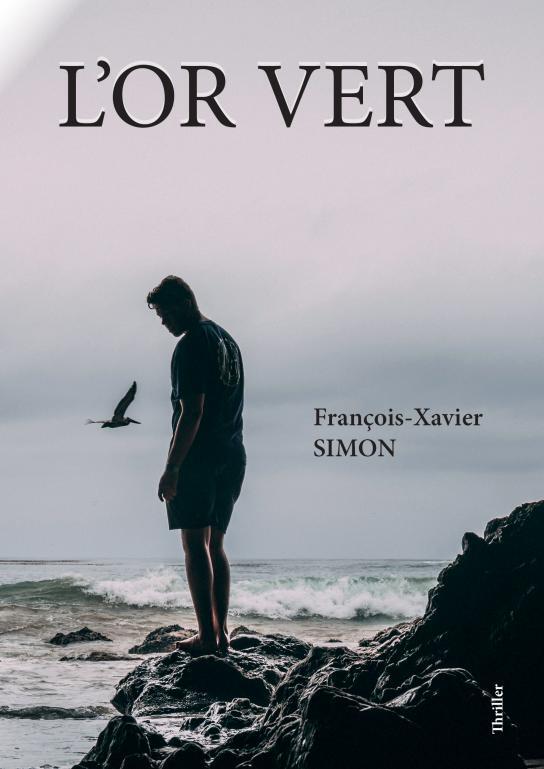 Libro L'Or Vert Simo