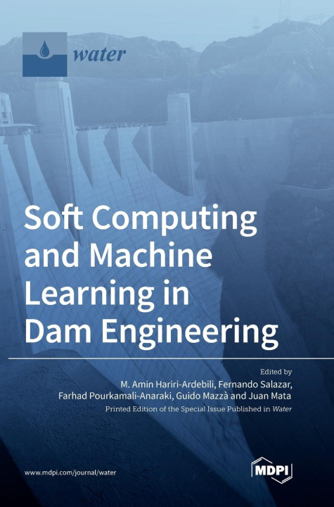 Книга Soft Computing and Machine Learning in Dam Engineering M. Amin Hariri-Ardebili