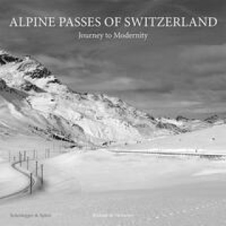 Könyv Alpine Passes of Switzerland Richard von Tscharner