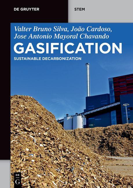 Knjiga Gasification Jo?o Cardoso
