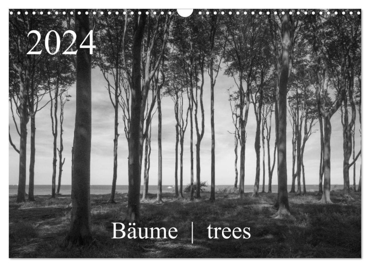 Kalendár/Diár Bäume trees 2024 (Wandkalender 2024 DIN A3 quer), CALVENDO Monatskalender 