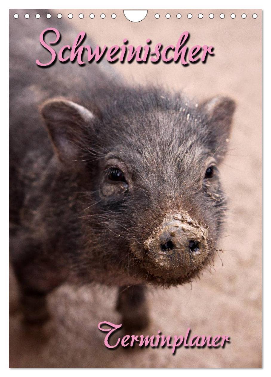 Calendar / Agendă Schweinischer Terminplaner (Wandkalender 2024 DIN A4 hoch), CALVENDO Monatskalender 