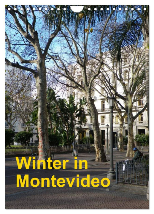 Kalendár/Diár Winter in Montevideo (Wandkalender 2024 DIN A4 hoch), CALVENDO Monatskalender 