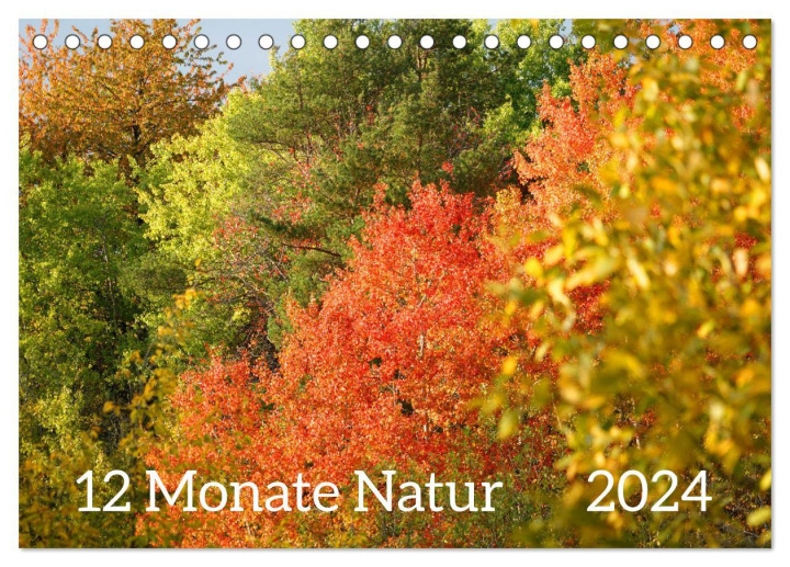 Kalendář/Diář 12 Monate Natur (Tischkalender 2024 DIN A5 quer), CALVENDO Monatskalender 