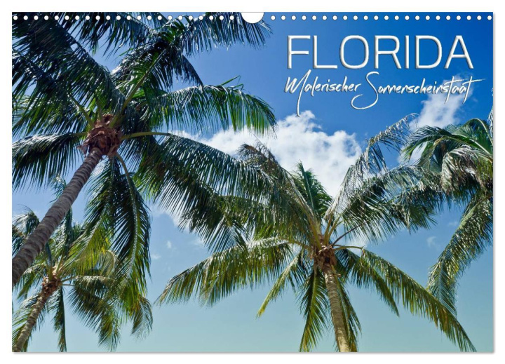 Naptár/Határidőnapló FLORIDA Malerischer Sonnenscheinstaat (Wandkalender 2024 DIN A3 quer), CALVENDO Monatskalender 