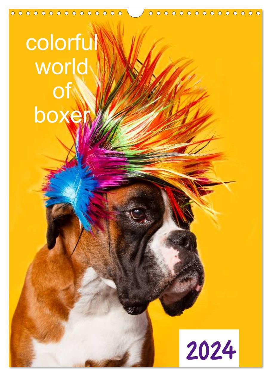 Kalendář/Diář colorful world of boxer 2024 (Wandkalender 2024 DIN A3 hoch), CALVENDO Monatskalender 