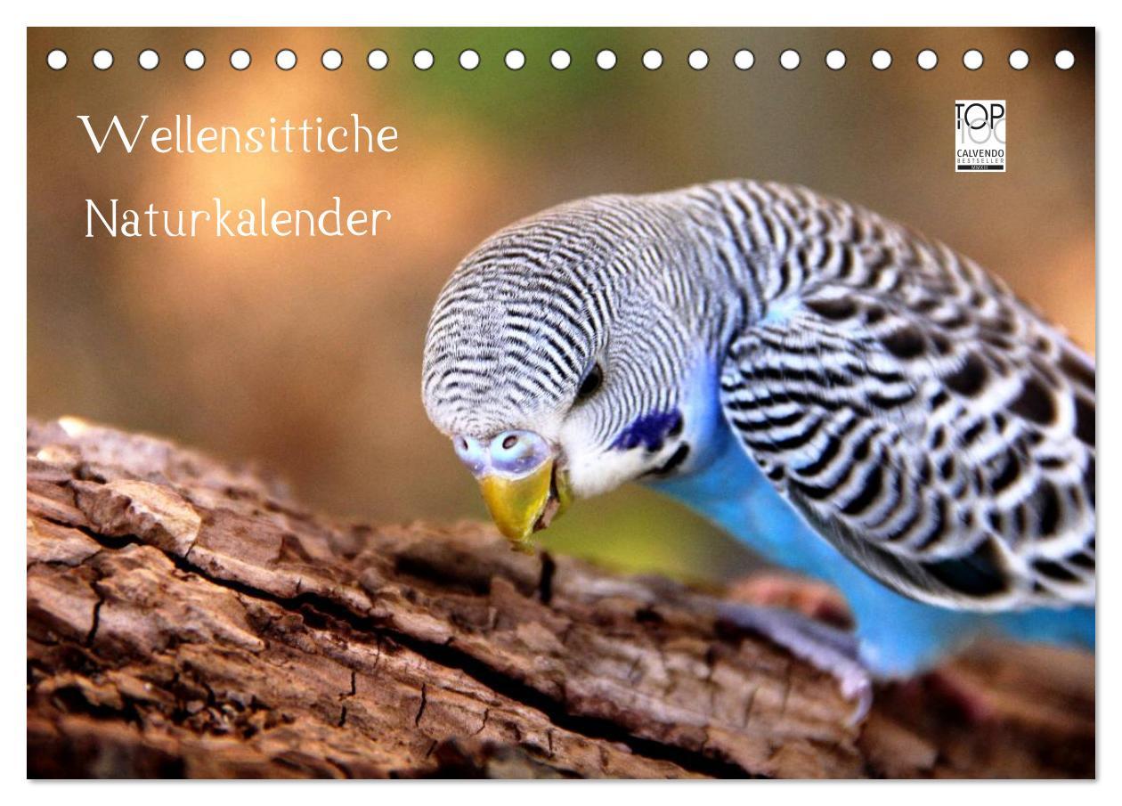 Calendar / Agendă Wellensittiche - Naturkalender (Tischkalender 2024 DIN A5 quer), CALVENDO Monatskalender 