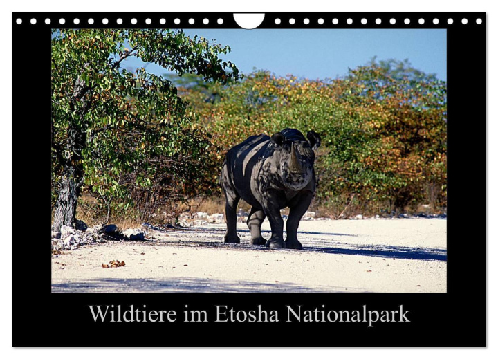 Kalendár/Diár Wildtiere im Etosha Nationalpark (Wandkalender 2024 DIN A4 quer), CALVENDO Monatskalender 
