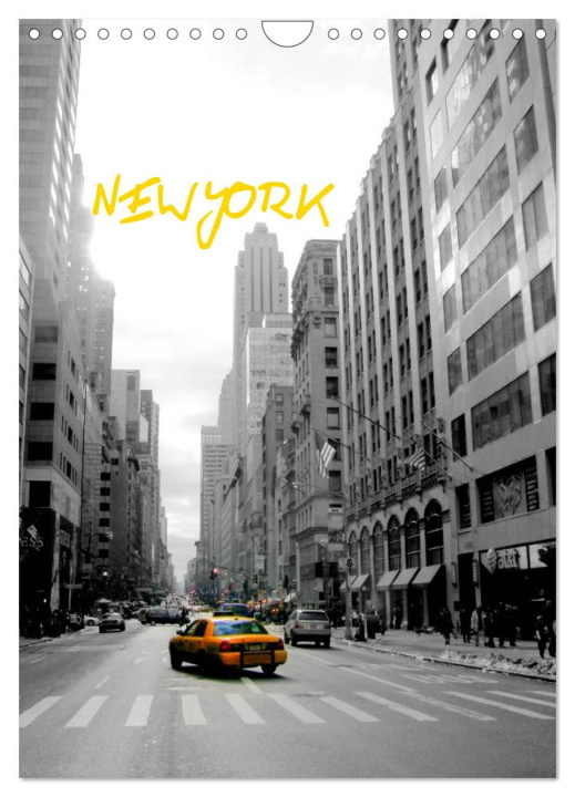 Calendar/Diary New York (Wandkalender 2024 DIN A4 hoch), CALVENDO Monatskalender 