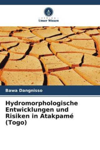 Könyv Hydromorphologische Entwicklungen und Risiken in Atakpamé (Togo) 