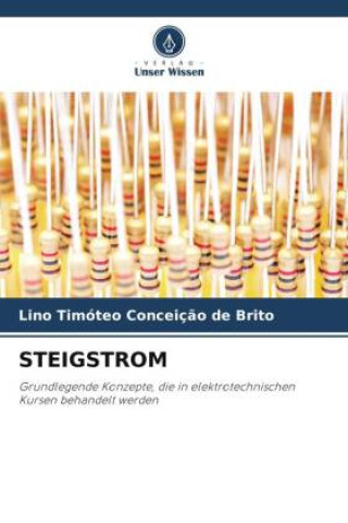 Buch STEIGSTROM Lino Timóteo Conceição de Brito