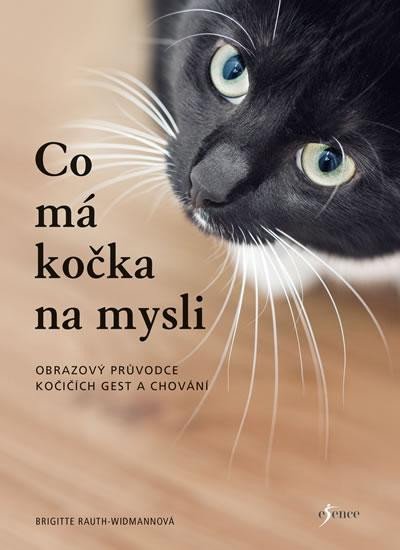 Kniha Co má kočka na mysli Brigitte Rauth–Widmannová