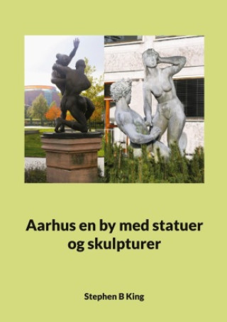 Kniha Aarhus en by med statuer og skulpturer Stephen B King