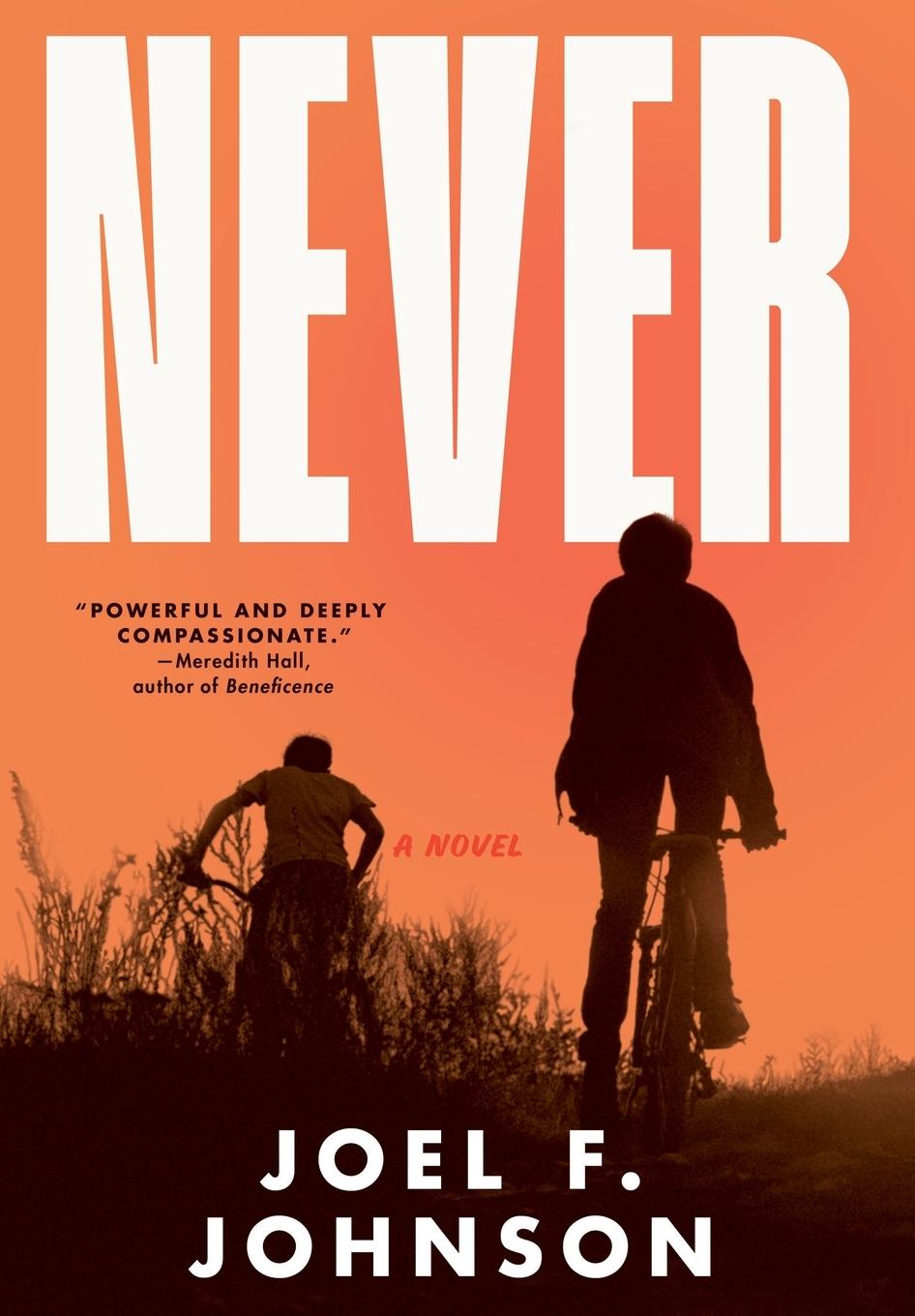 Knjiga Never Joel F. Johnson